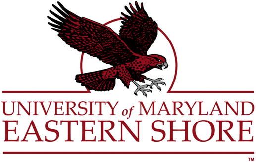 Maryland-Eastern Shore Hawks 2007-Pres Alternate Logo 02 iron on paper